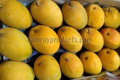 Premium Ratnagiri Alphonso Mango