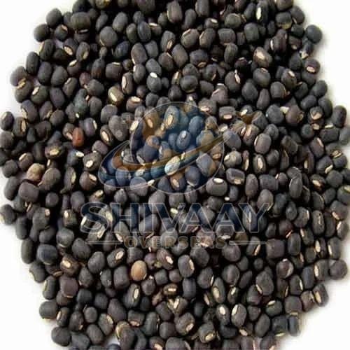 Black Urad Dal