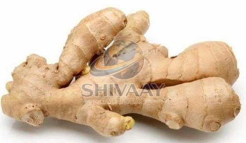 Fresh Ginger Roots