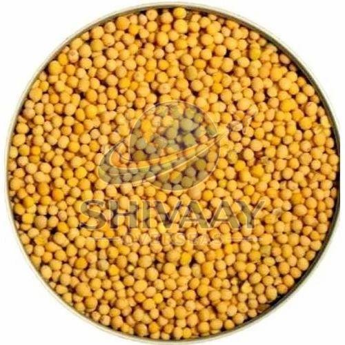 Yellow Mustard Seeds