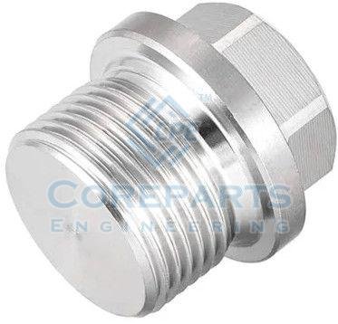 Stainless Steel Male Hex Plug