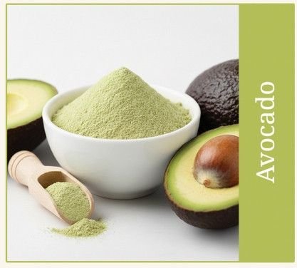 Dehydrated Avocado Powder