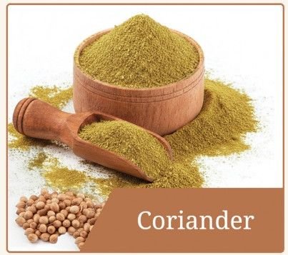 Dehydrated Coriander Powder