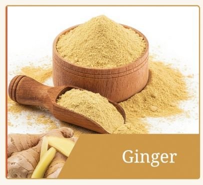 Dehydrated Ginger Powder