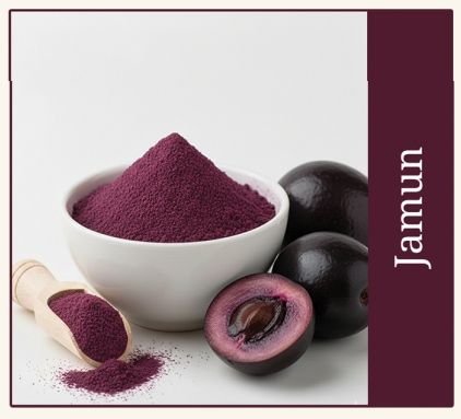 Dehydrated Jamun Powder