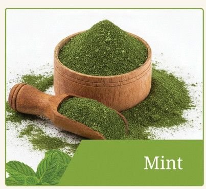 Dehydrated Mint Powder