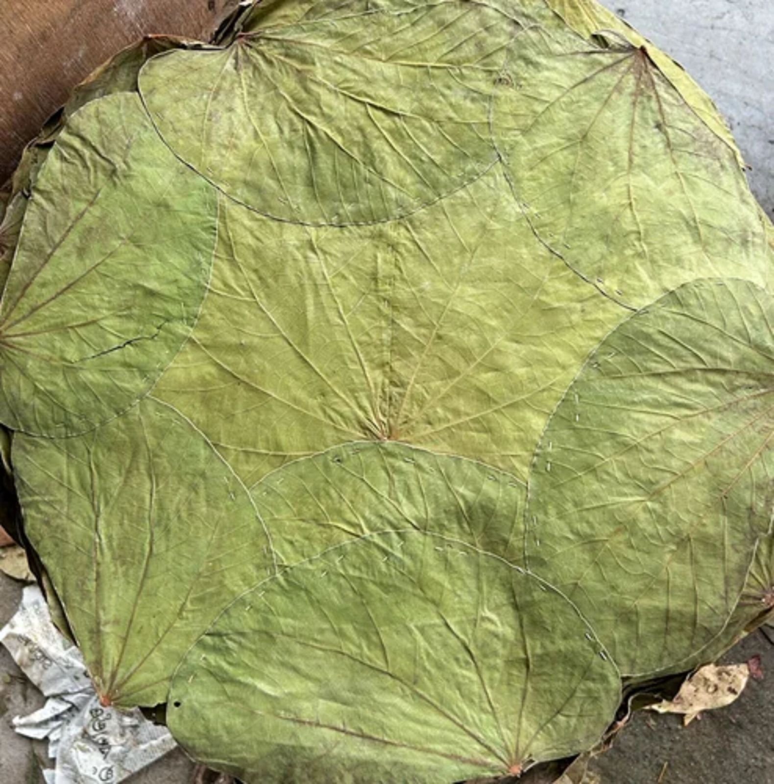 Natural Siali Leaf Round Plate