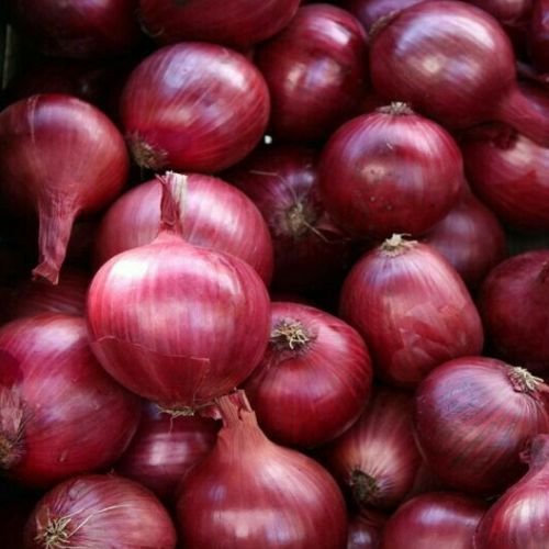 Fresh Red Onion