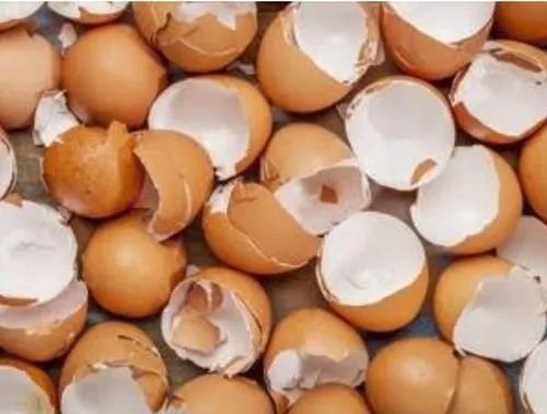 Crushed Brown Egg Shell