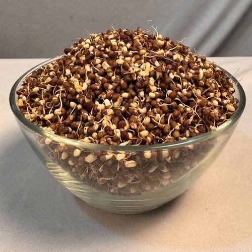 Dehydrated Matki Sprouts