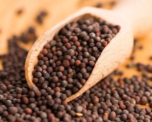Black Mustard Seeds