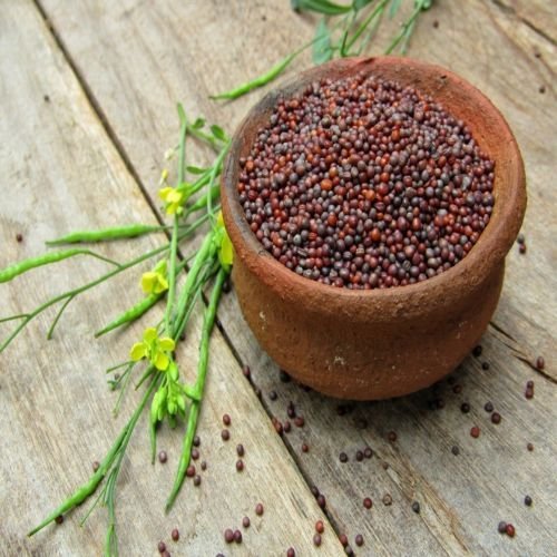 Organic Mustard Seeds