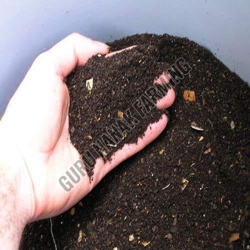 Organic Vermicompost Fertilizer