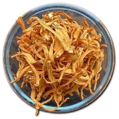 Natural Cordyceps Militaris