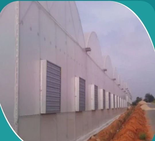 Prefab Rectangular Fan Pad Polyhouse, For Green House