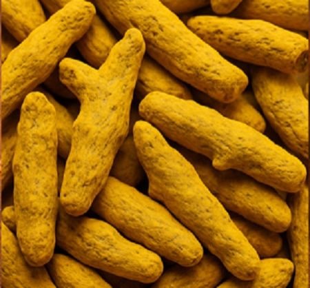 Dry Turmeric Finger