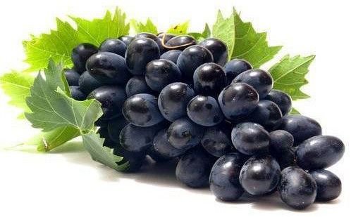 Fresh Grapes