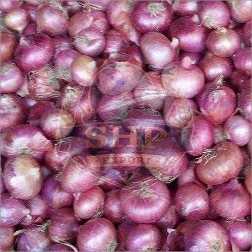Export Quality Fresh Pink Onion