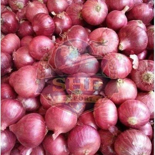 Nashik Fresh Pink Onion