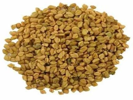 A Grade Fenugreek Seed