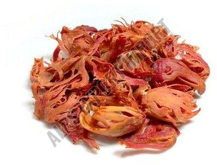 Mace Javitri