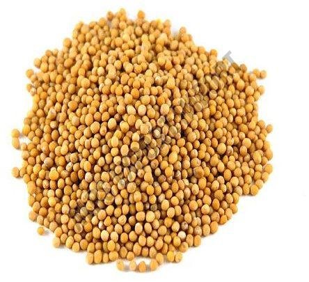Yellow Mustard Seeds