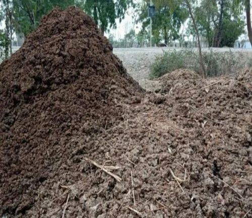 Natural Soil Conditioner Organic Cow Dung