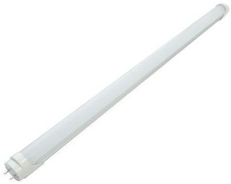 Evenplus LED Tube Light