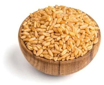 Wheat Grains
