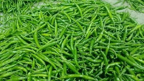 Fresh Green Chili