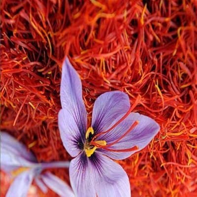 Super Negin Iranian Saffron