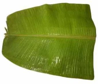 Natural Banana Leave