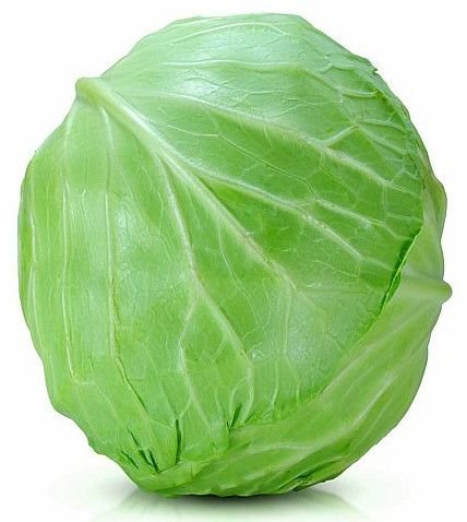 Fresh Green Cabbage