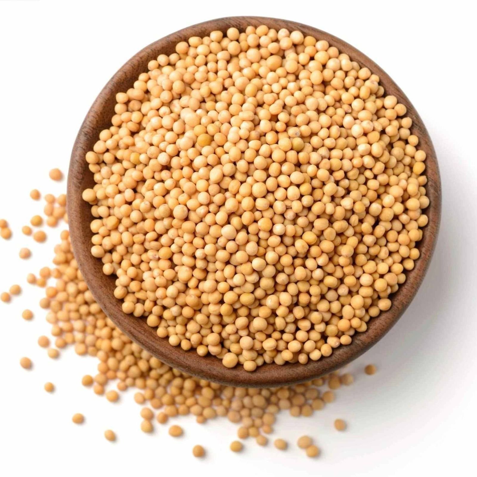 A Grade Yellow Mustard Seed