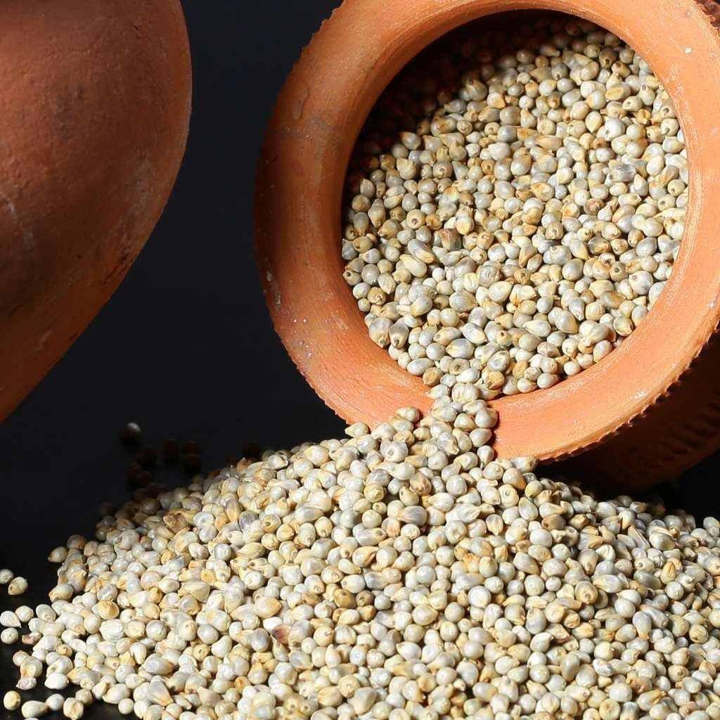 Natural A Grade Pearl Millet Seed
