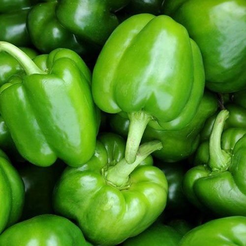A Grade Fresh Green Capsicum