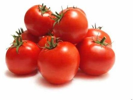 A Grade Fresh Tomato