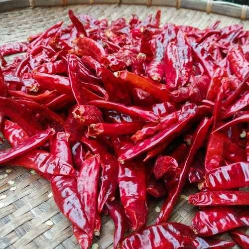 Dried Red Chilli