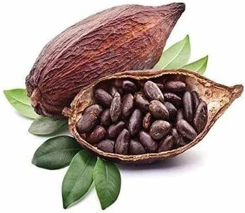 Organic Cocoa Bean