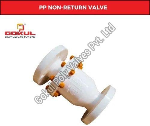 PP Non Return Valve Flange End