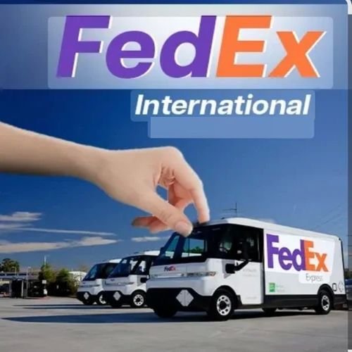 Fedex International Courier Services