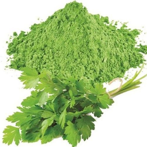 Dehydrated Coriander Leaves Powder