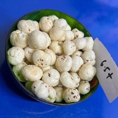 6.5 Plus Suta Raw Makhana