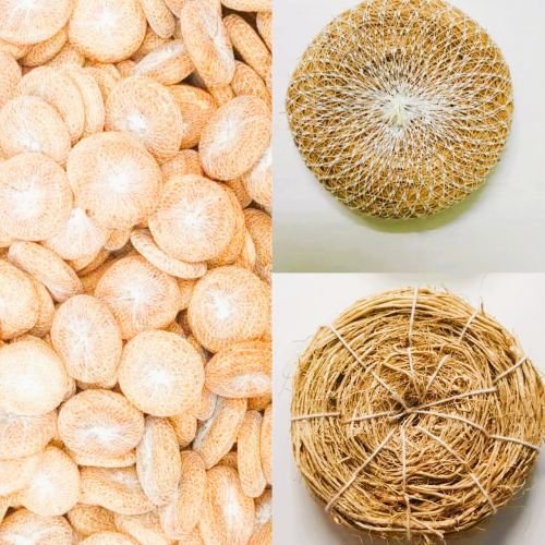 Aromatic Vetiver Bath Scrub