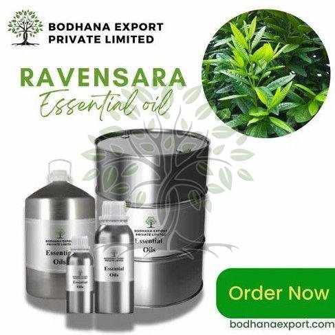 Ravensara Essential Oil
