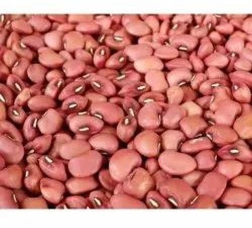 Red Cow Pea