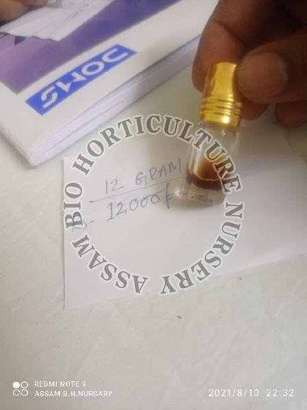 Agarwood Oil