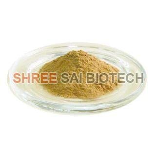 Achyranthes Aspera Root Extract Powder