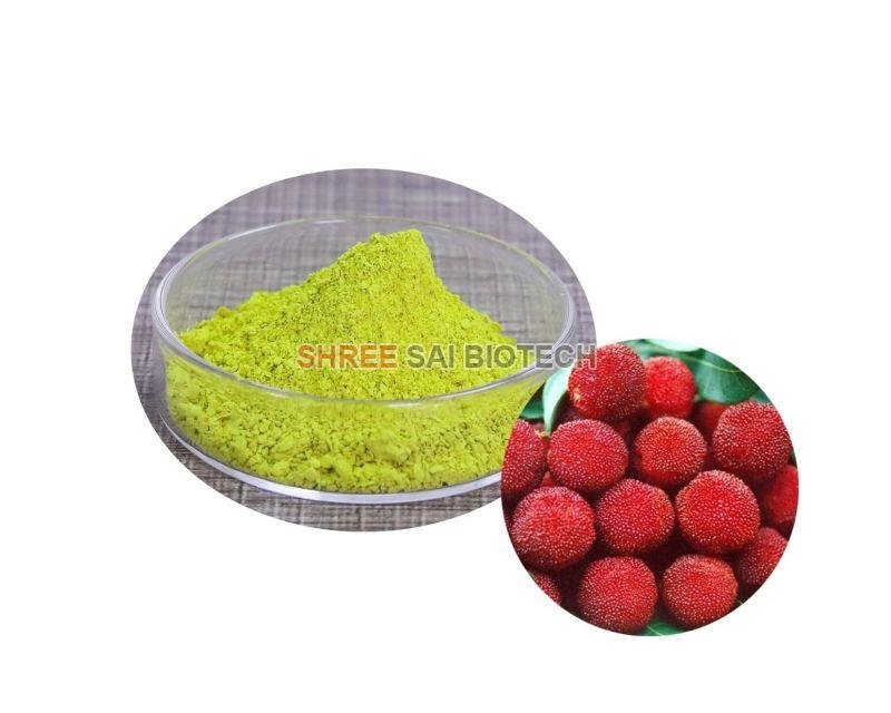 Bayberry Bark Extract Powder