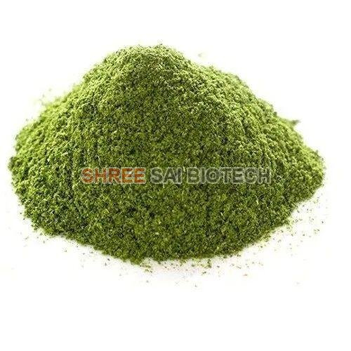 Chirayta Extract Powder
